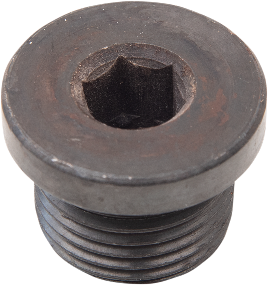 Daytona Hex Plug For O2 Weld Nut Replacement Part